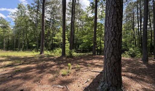 979 Aiken Rd 13