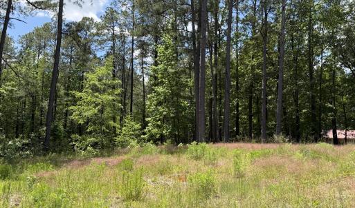 979 Aiken Rd 16