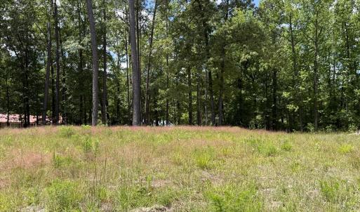 979 Aiken Rd 15