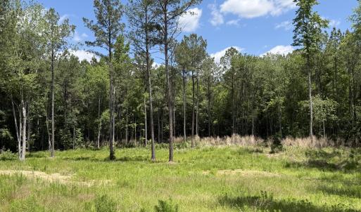 979 Aiken Rd 14