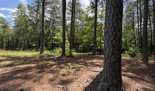 979 Aiken Rd 13