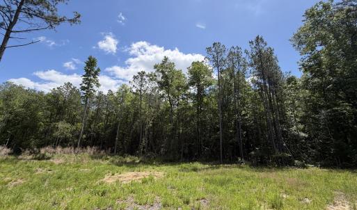 979 Aiken Rd 18