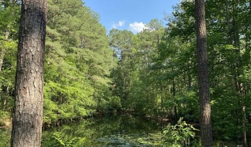 979 Aiken Rd 7