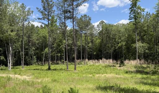 979 Aiken Rd 14