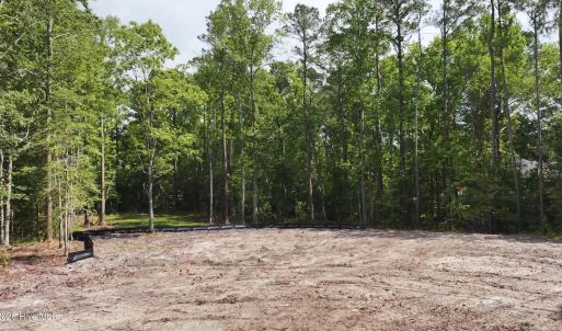 Partially Cleared Lot