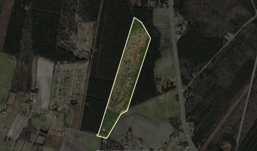Property Lines