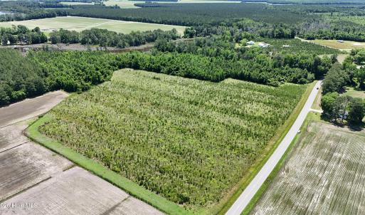 Photo #8 of Yeatesville, Bath, NC 38.8 acres