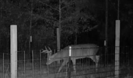 1000014159