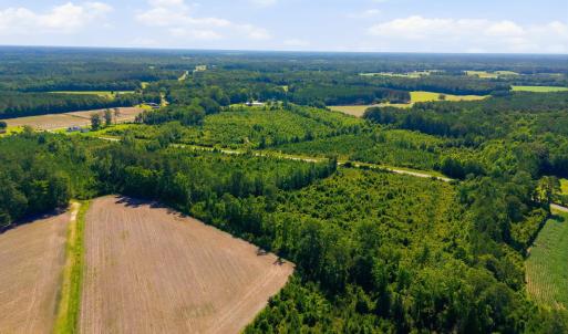 Photo #4 of 150 Furnie Hammond, Clarendon, NC 56.6 acres