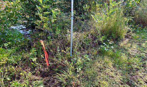 Photo #5 of 281 Old Sr 1801, Scotland Neck, NC 1.1 acres