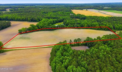 Photo #6 of Tbd Pig Palace, Council, NC 26.8 acres