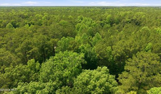 Photo #12 of 9 Ags, Chocowinity, NC 2.2 acres