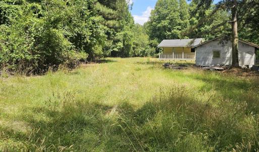 Photo #8 of Madison, Bailey, NC 21.0 acres