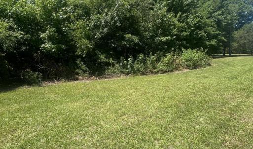 Photo #1 of Tbd Nc Hwy 705, Robbins, NC 3.3 acres
