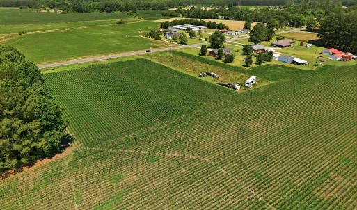 Photo #15 of 1795 1825 Highway 58, Kinston, NC 46.0 acres