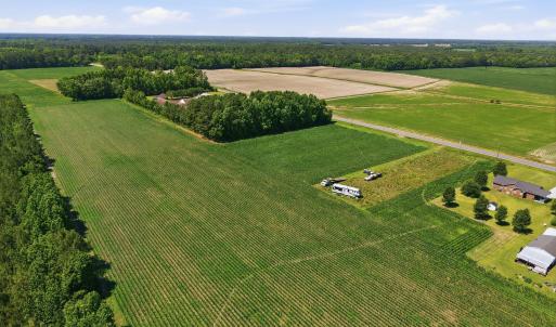 Photo #10 of 1795 1825 Highway 58, Kinston, NC 46.0 acres
