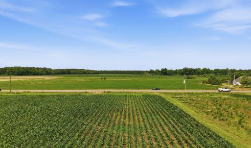 Photo #6 of 1795 1825 Highway 58, Kinston, NC 46.0 acres
