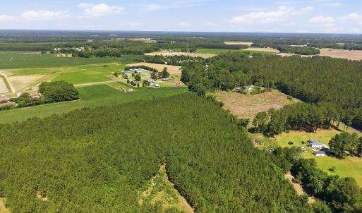 Photo #5 of 1795 1825 Highway 58, Kinston, NC 46.0 acres