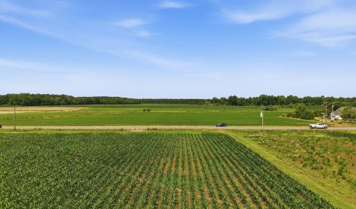 Photo #6 of 1795 1825 Highway 58, Kinston, NC 46.0 acres
