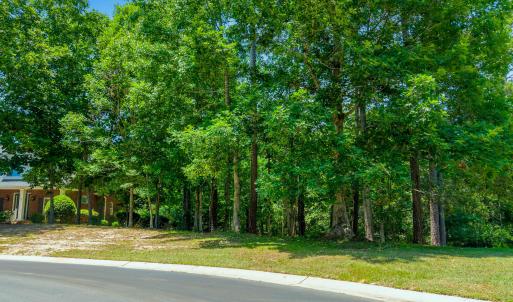 Photo #4 of 1568 Brushwood, Bolivia, NC 0.5 acres