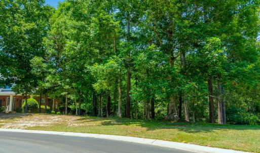 1568 Brushwood Court MLS-6