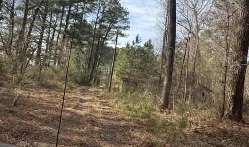 Photo #17 of 269 Creek, Bath, NC 42.8 acres