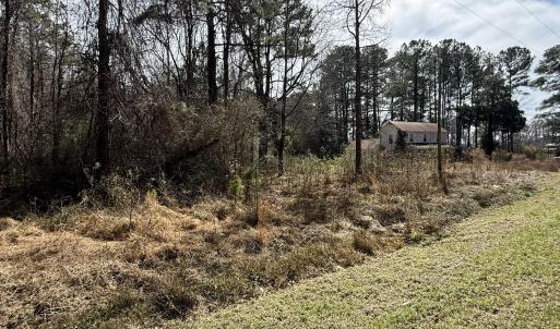 Photo #3 of 269 Creek, Bath, NC 42.8 acres