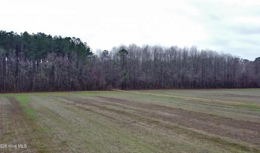 Photo #6 of 269 Creek, Bath, NC 42.8 acres