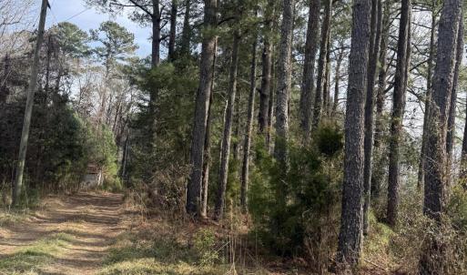 Photo #15 of 269 Creek, Bath, NC 42.8 acres