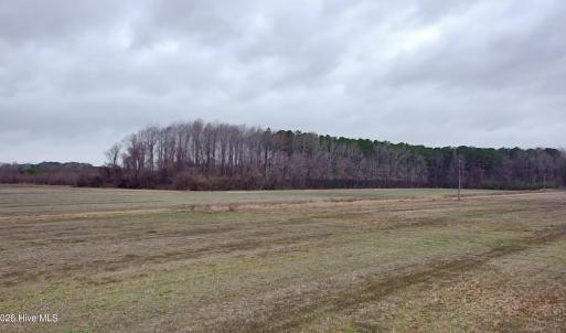 Photo #2 of 269 Creek, Bath, NC 42.8 acres