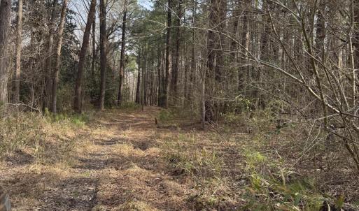 Photo #5 of 269 Creek, Bath, NC 42.8 acres