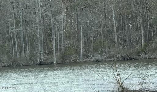 Photo #1 of 269 Creek, Bath, NC 42.8 acres