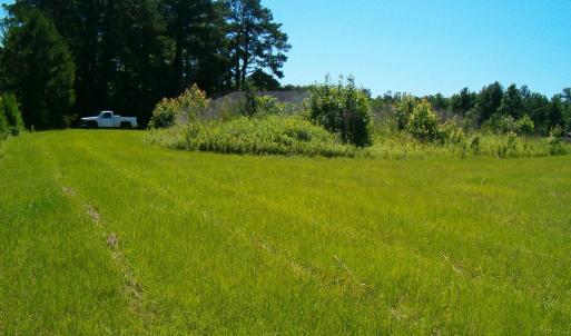 Photo #3 of 6152 Richlands, Jacksonville, NC 2.9 acres