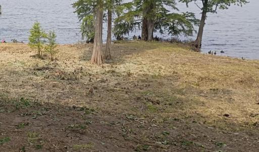 Photo #5 of 183 Herring, Merry Hill, NC 0.5 acres