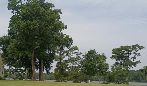 Photo #6 of 183 Herring, Merry Hill, NC 0.5 acres