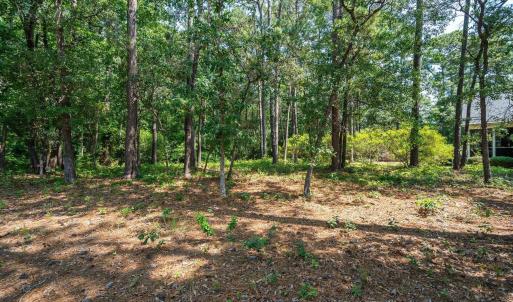 Photo #8 of 3840 Timber Stream, Southport, NC 0.7 acres