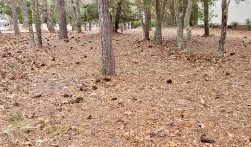 Photo #1 of 3317 Marlin, Bolivia, NC 0.2 acres