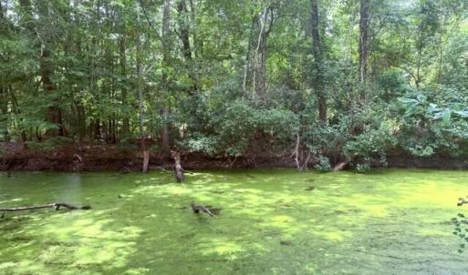 Photo #6 of Lt 284-288 Near 250 Waccamaw Sh Road, Lake Waccamaw, NC 0.4 acres