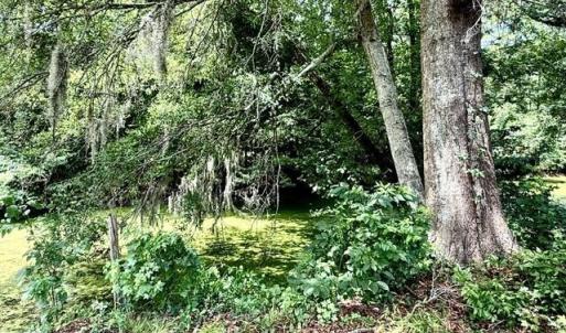 Photo #7 of Lt 284-288 Near 250 Waccamaw Sh Road, Lake Waccamaw, NC 0.4 acres