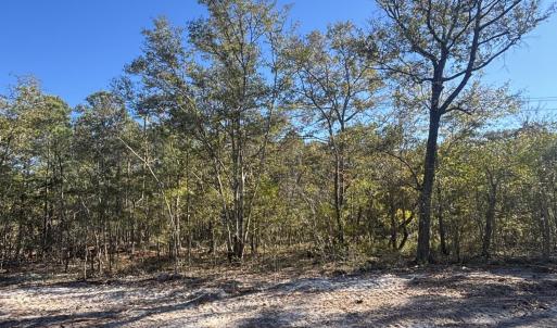 Photo #1 of Lot 166 Coral Gull, Southport, NC 0.3 acres