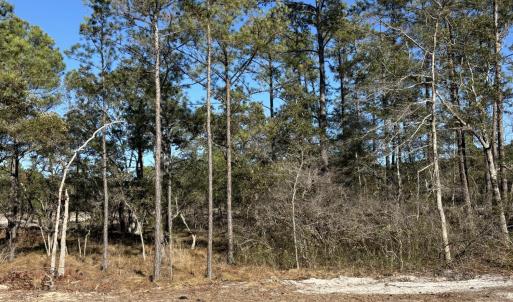 Photo #1 of Lot 138 Coral Gull, Southport, NC 0.2 acres