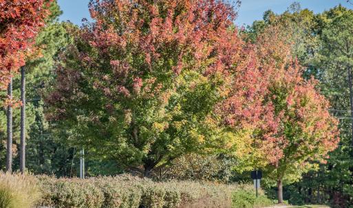 06-ChapelRidge-20171021