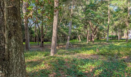 Photo #9 of 2905 Island, Bolivia, NC 0.6 acres