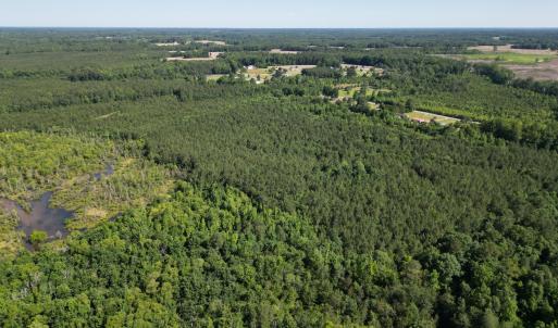 Photo #11 of 33 Heathsville, Enfield, NC 37.2 acres