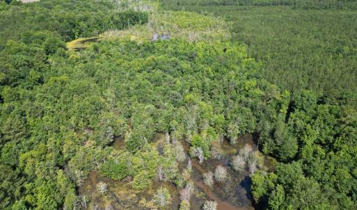 Photo #7 of 33 Heathsville, Enfield, NC 37.2 acres