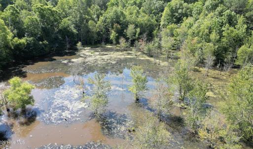 Photo #16 of 33 Heathsville, Enfield, NC 37.2 acres