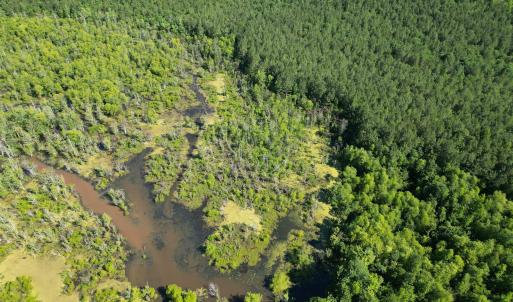 Photo #8 of 33 Heathsville, Enfield, NC 37.2 acres