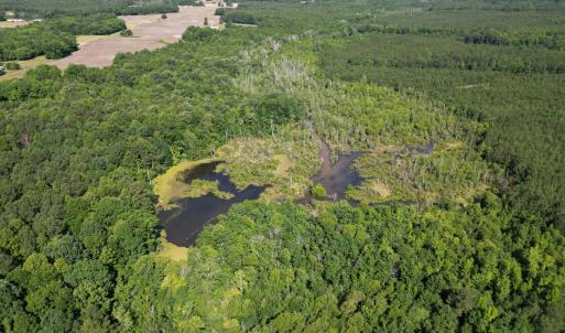 Photo #5 of 33 Heathsville, Enfield, NC 37.2 acres