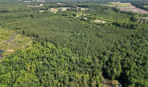 Photo #10 of 33 Heathsville, Enfield, NC 37.2 acres