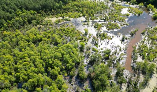 Photo #15 of 33 Heathsville, Enfield, NC 37.2 acres